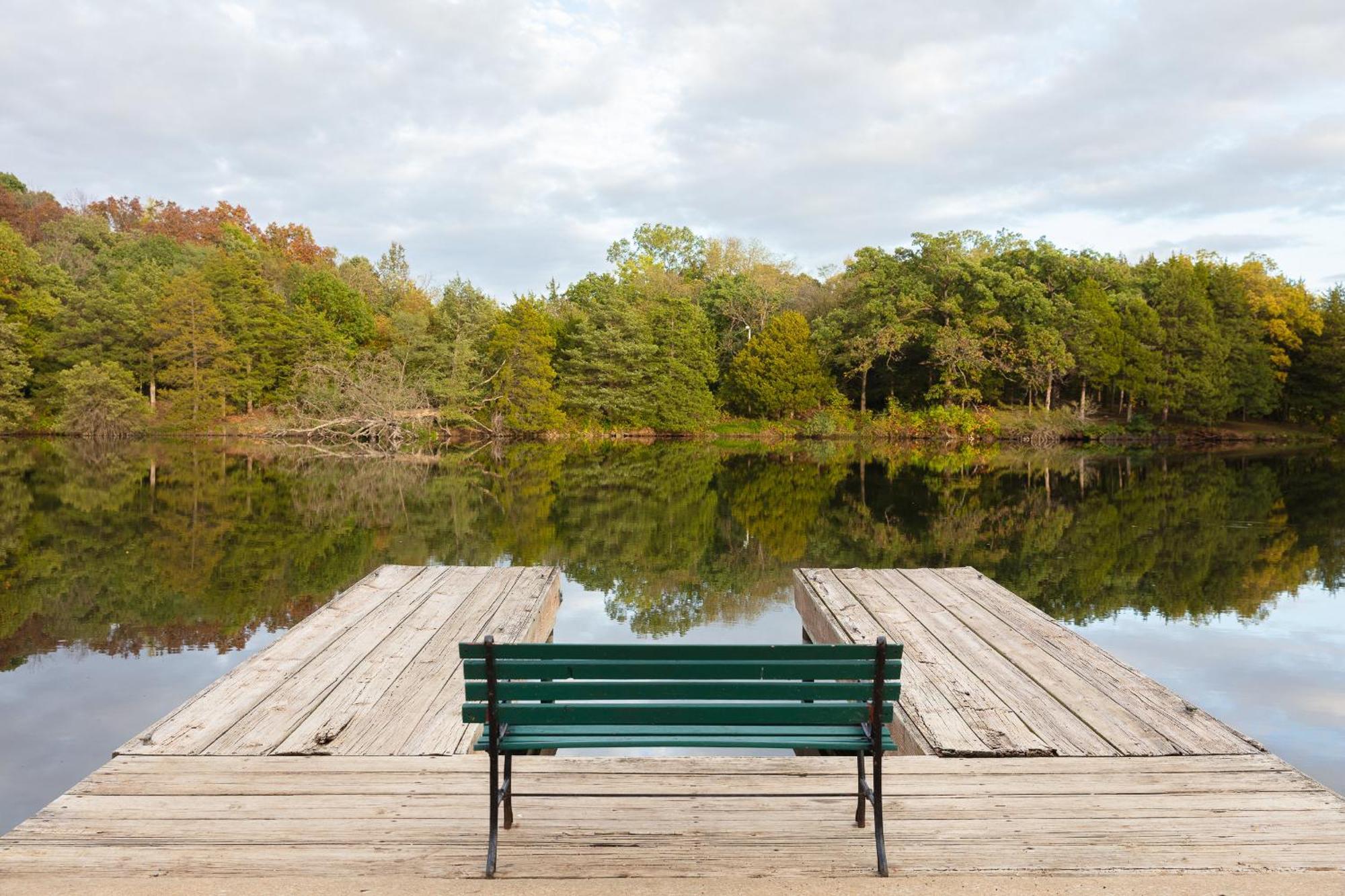 Basswood Resort Platte City 部屋 写真